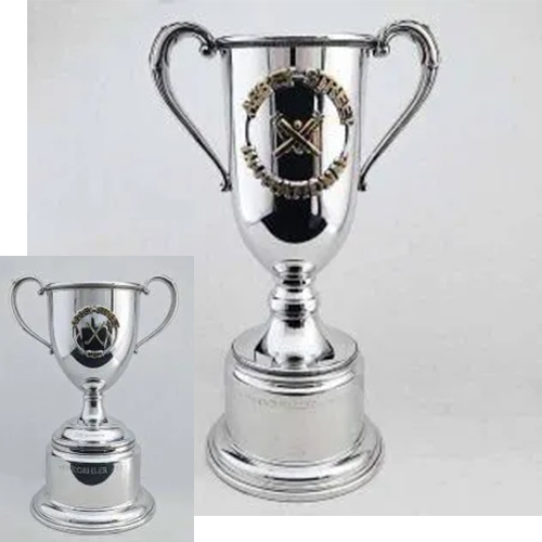 Cup Metal Rose Bowl Champion Perpetual Cup Trophy Trophies