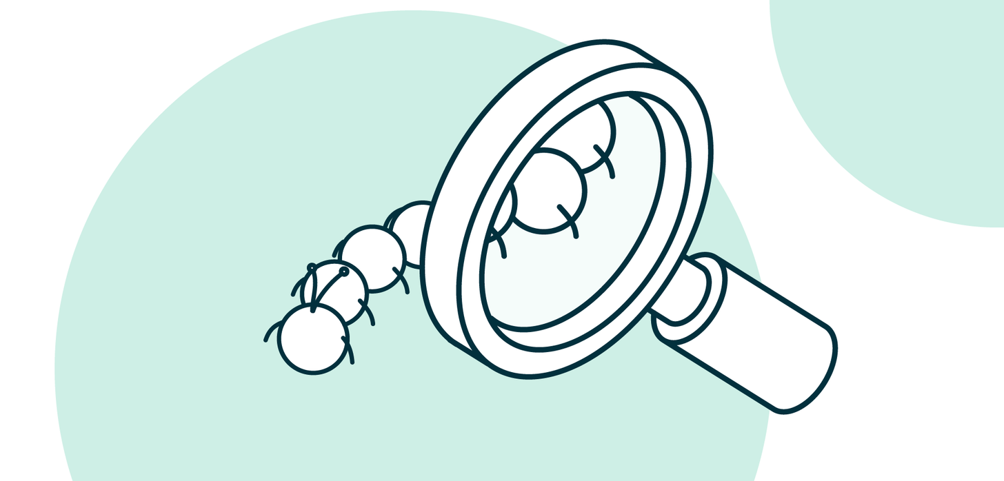 Debug magnifying glass